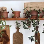 Lizartgarden Panoramic