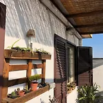 Lizartgarden Panoramic