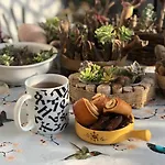 Lizartgarden Panoramic *