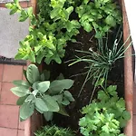 Lizartgarden Panoramic * Rom