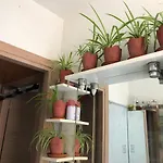 Lizartgarden Panoramic רומא