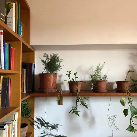 Lizartgarden Panoramic בית אירוח