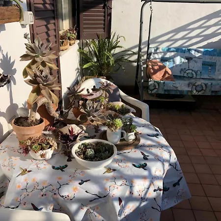 Privatunterkunft Lizartgarden Panoramic