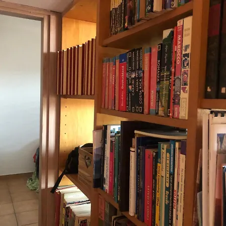 Lizartgarden Panoramic Homestay