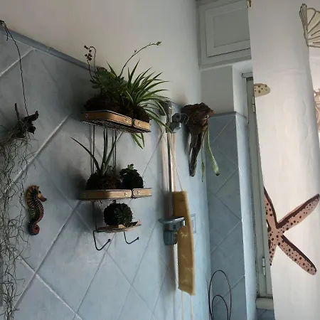 Homestay Lizartgarden Panoramic *