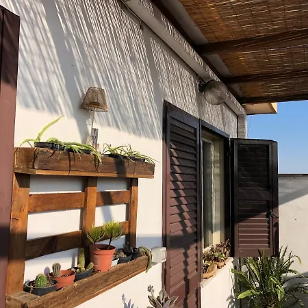 Lizartgarden Panoramic